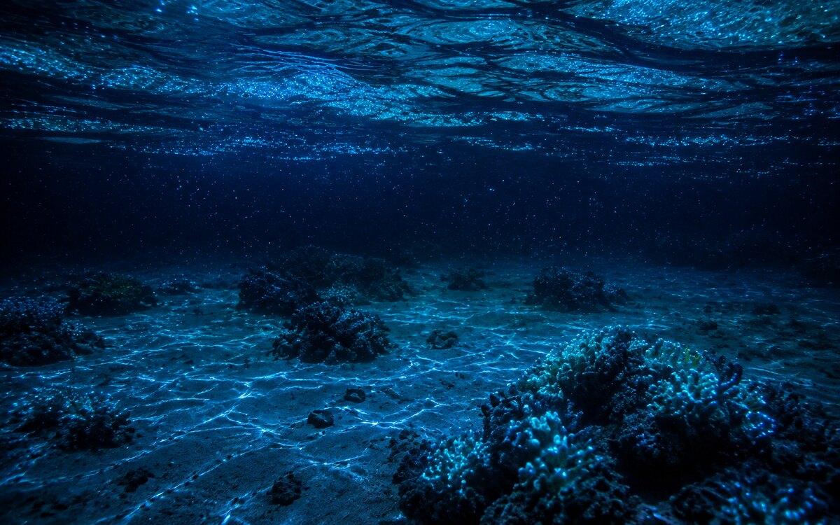 Representative bioluminescent Maldives reef